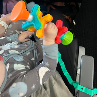 Toy Bungee Tether BLUE