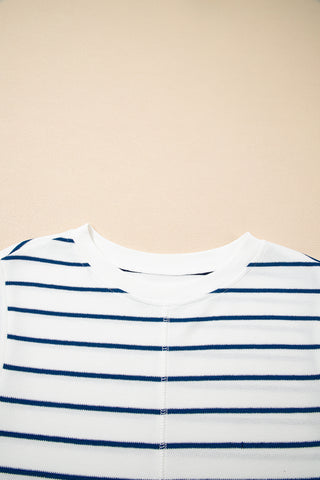 Sail Blue Casual Wide Leg 2pcs Pants Set