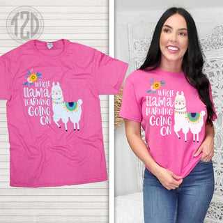 Whole Llama Learning Teacher T Shirt