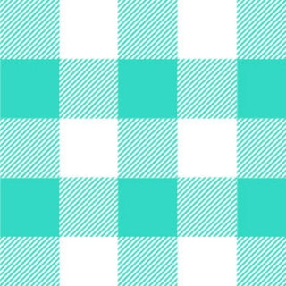 Mint Check Travel Blanket