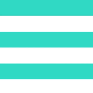 Mint Stripe Zip Pouch Wristlet