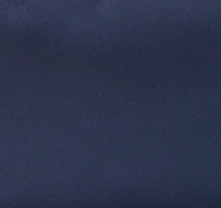 Navy Charlie Backpack